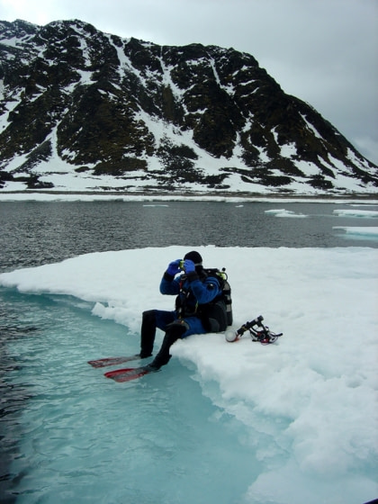 Diving in Greenland Diving in Greenland