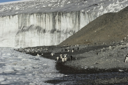 Cape Adare