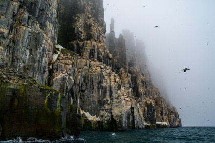 Die Vogelfelsen des Alkefjellet Die Vogelfelsen des Alkefjellet
