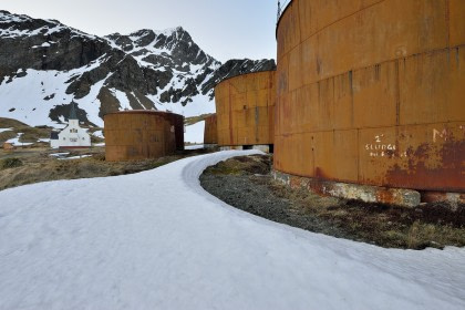 South Georgia whaling history South Georgia whaling history