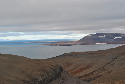 Diskobukta Diskobukta