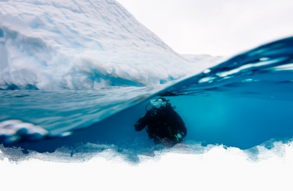Buceo polar Buceo polar
