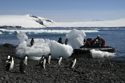 Paulet Island Paulet Island