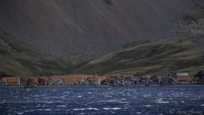 Husvik