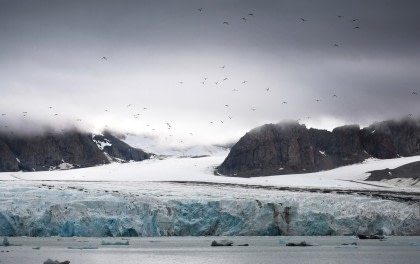 Kongsfjorden Kongsfjorden