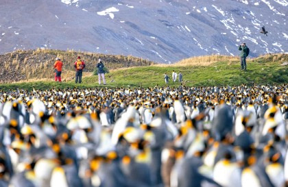 Islas Malvinas – Georgias del Sur – Antártica