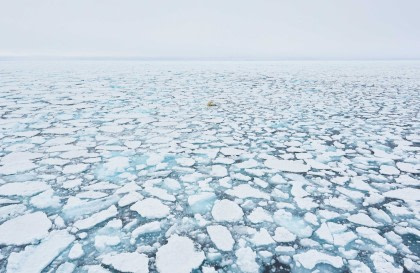 Autour du Spitzberg, au royaume des Ours polaires et de la glace