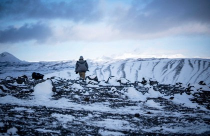 Northeast Iceland Explorer, Aurora Borealis, Hike & Sail - Incl. Bus back up