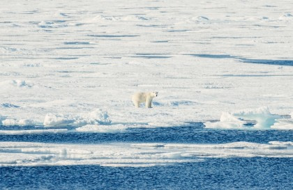 Rundum Spitzbergen, im eisigen Reich der Eisbären