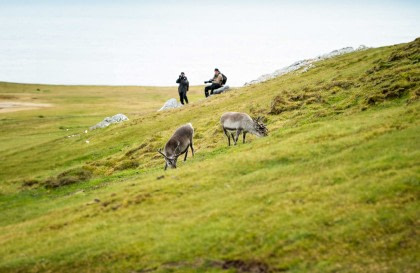 Nordspitzbergen Entdecker - Vielfältige Landschaften, Meereis und Tierwelt