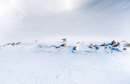 Rundum Spitzbergen, im eisigen Reich der Eisbären