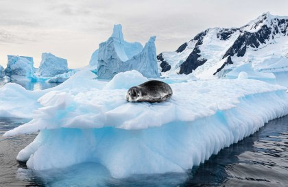 Antarctica - Discovery and Learning