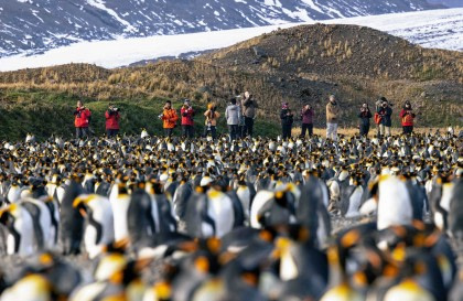 Atlantik-Odyssee, einschließlich Antarktische Halbinsel bis St. Helena