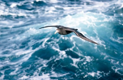 Odisea Atlántica, incluyendo la península Antártica hasta Cabo Verde