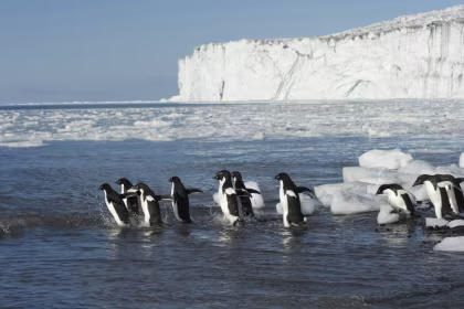 Oceanwide Supports Antarctic Protected Areas