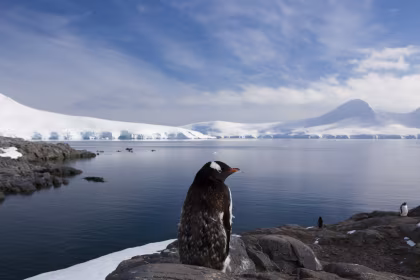 Lignes directrices pour les visiteurs de l'Antarctique