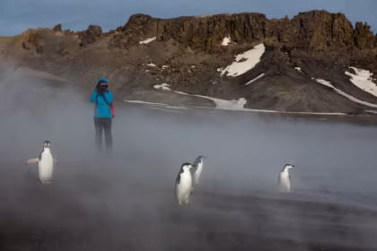 Le guide de A à Z de la croisière en Antarctique