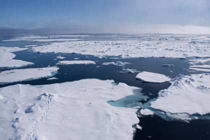 Wandering in Fields of Ice – Around Svalbard
