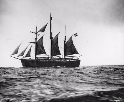 La course d'Amundsen au pôle Sud