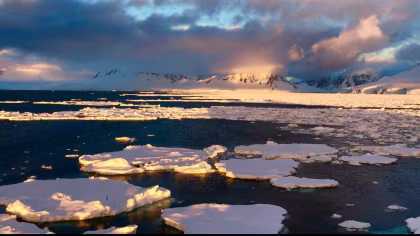 Antarctic Resolution