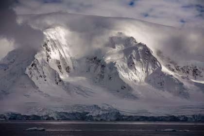Les anciennes forêts fossiles de l'Antarctique