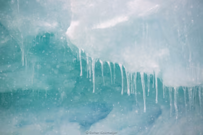 Une image parfaite : interview et conseils d'un photographe polaire