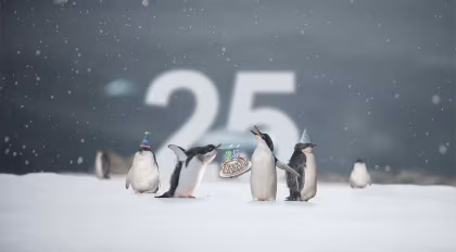 OEX lanceert 25e verjaardag gratis cruisewedstrijd