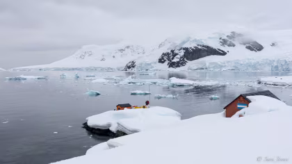 You can visit Antarctica, and here's how!