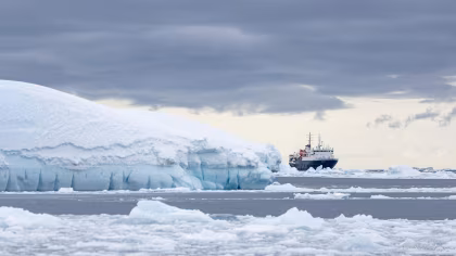 Why should I visit Antarctica in November on an expedition cruise?