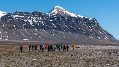 Taking Chances: a New Lesson from the Arctic