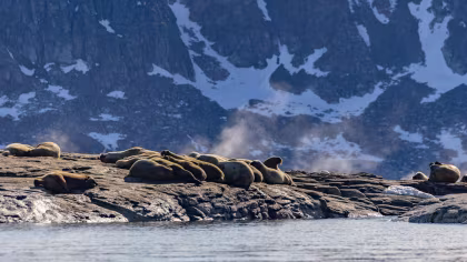 HDS06-24, reisverslag, Rond Spitsbergen, In het rijk van Ijsbeer en ijs