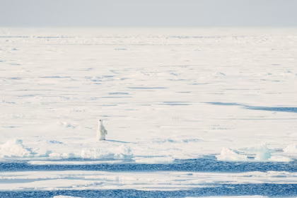 OTL08-24, reisverslag, Rond Spitsbergen - In het rijk van ijsberen en ijs