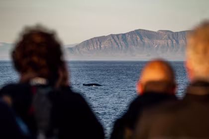 HDS10-24, reisverslag, Rond Spitsbergen - Kvitøya, In het rijk van ijsberen en ijs