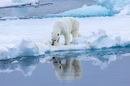 OTL11-24, reisverslag, Spitsbergen - Noordoost-Groenland - Aurora Borealis, inclusief lange wandelingen