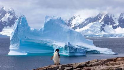 PLA26-25, trip log,  Antarctica - Discovery and learning voyage