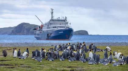 PLA27-25, trip log, Falkland Islands - South Georgia - Antarctica