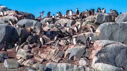 OTL29-25, trip log, Antarctica - Discovery and learning voyage