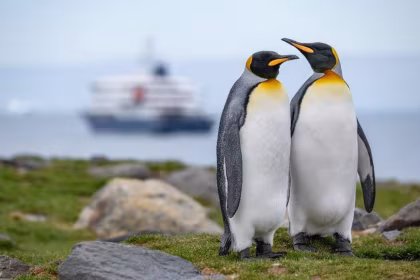 HDS28-25, trip log, Falkland Islands - South Georgia - Antarctica