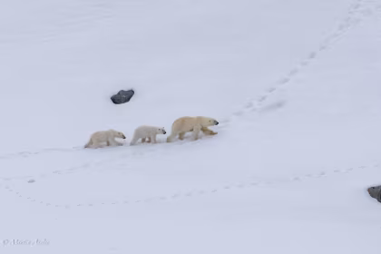 OTL03-25, trip log, North Spitsbergen Explorer