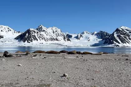 Seven Nights in Svalbard: On Expedition at the Top of the World