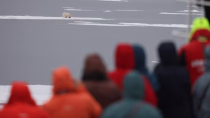 PLA09-25, trip log, Around Spitsbergen, In the realm of polar bear & ice