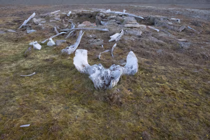 The Legacy of the Thule Culture – Legend of the Norse, Tamers of Greenland