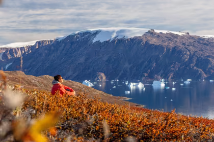 Why should I visit the Arctic in September on an expedition cruise?