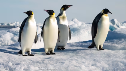 OTL31a26, trip log, Weddell Sea Explorer Basecamp