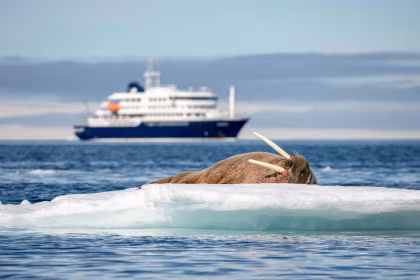 HDS05-26, trip log, North Spitsbergen Explorer - Versatile landscapes, sea ice & wildlife - Summer Solstice