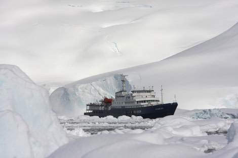 Cercle Antarctique