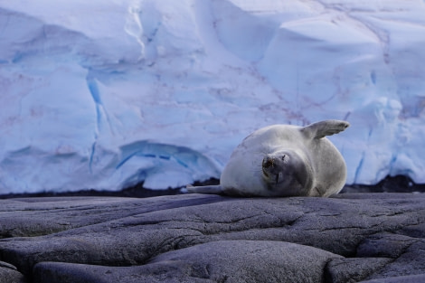 Foto’s van klanten