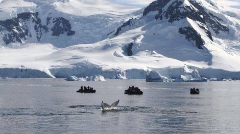 Foto’s van klanten