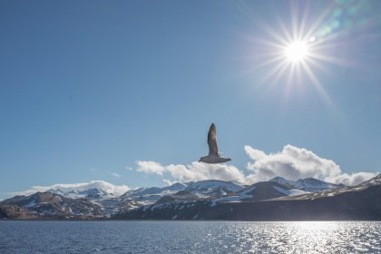Vlissingen - Longyearbyen (29) © Frank Maes - Oceanwide Expeditions.JPG