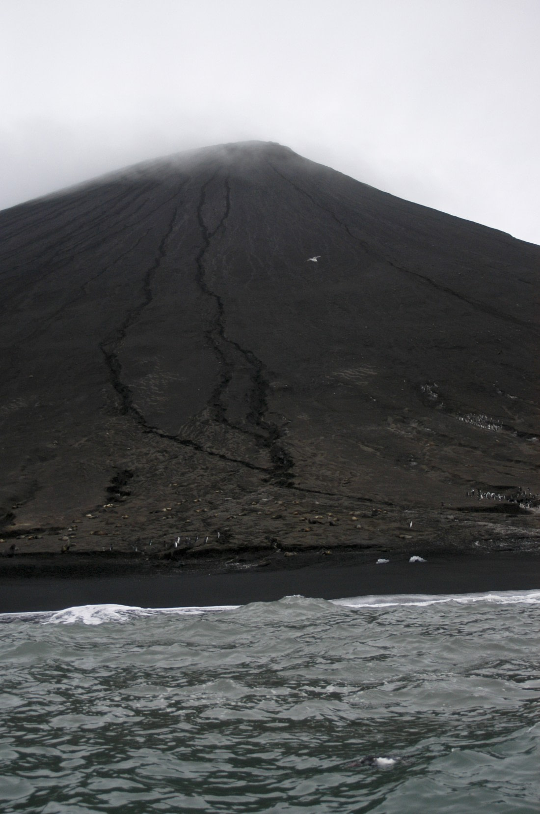 South Sandwich Islands, Saunders Island
